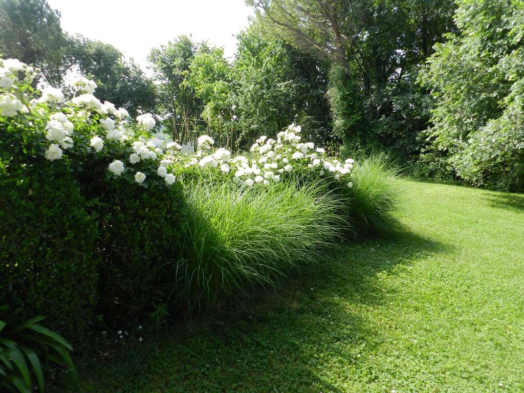 B&B I Fiori Della Cava Pesaro Exterior foto